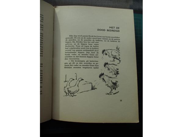 Gerard Walschap  -  Gansje Kwak