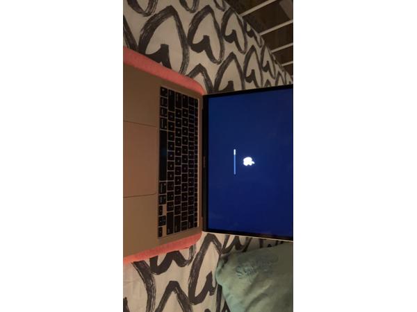 apple macbook air rose kleur