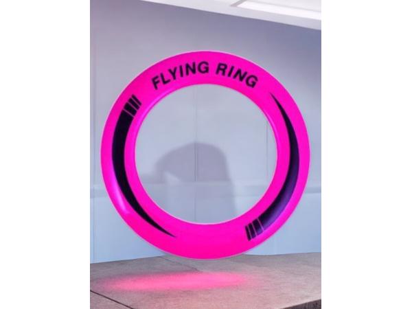 Frisbee met een Diameter van 25 Cm roze