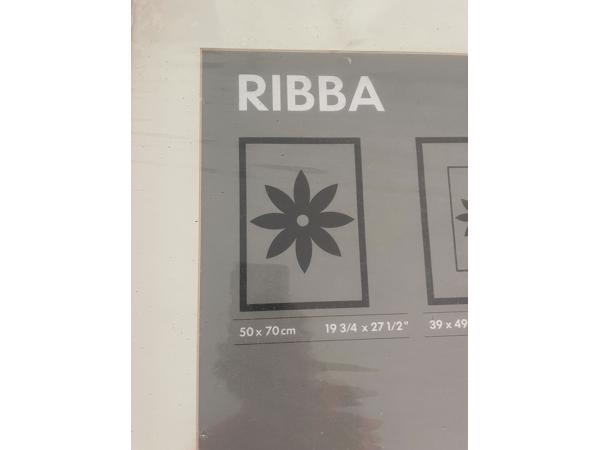 Ribba IKEA fotolijst