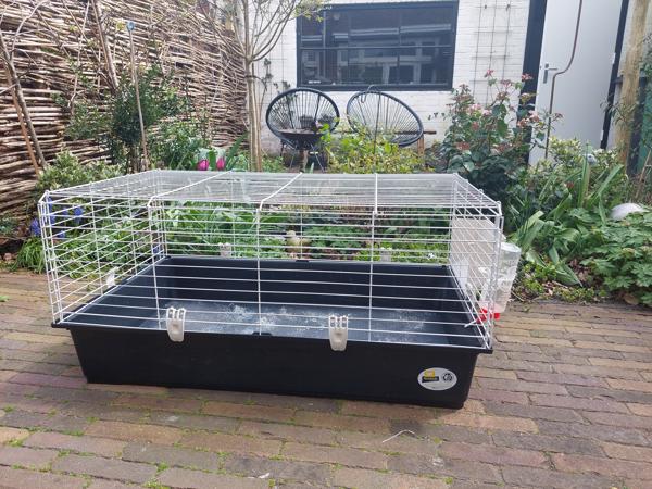 Cavia of konijnenkooi
