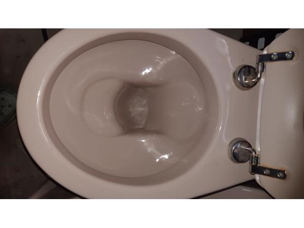 70's Camee kleurig SPHINX duoblok toilet, wastafel, planchet