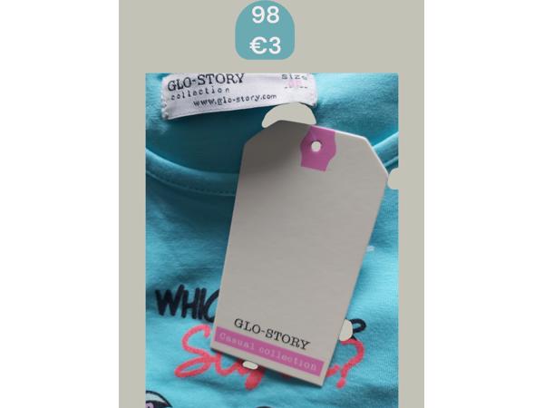 Glo-Story t-shirt flamingo's turquoise 98