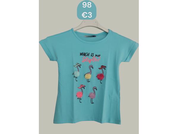 Glo-Story t-shirt flamingo's turquoise 98