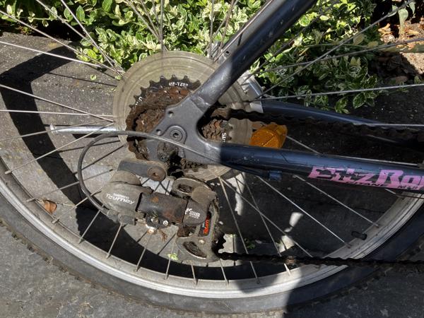 Meiden Mountainbike ideaal voor op de camping