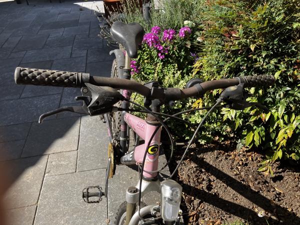 Meiden Mountainbike ideaal voor op de camping