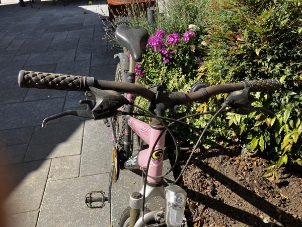 Meiden Mountainbike ideaal voor op de camping