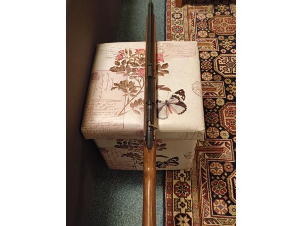 Prachtige Sheridan pompbuks