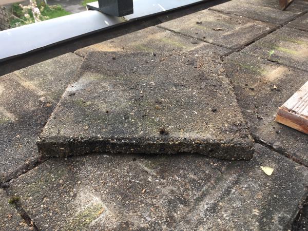 100 gratis Dreentegels 30x30x4 cm voor dakterras