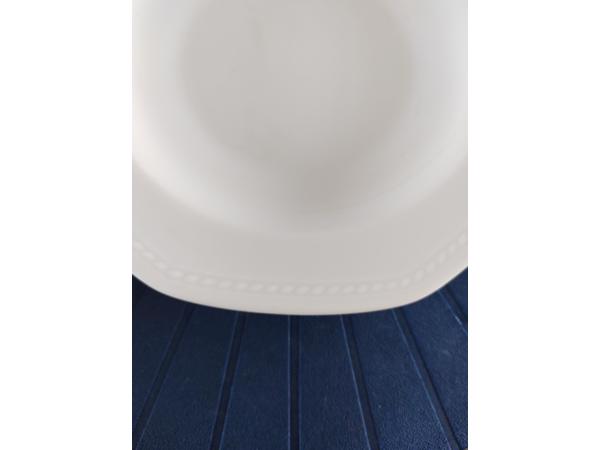 Porcelijnen borden Schirnding Bavaria serie