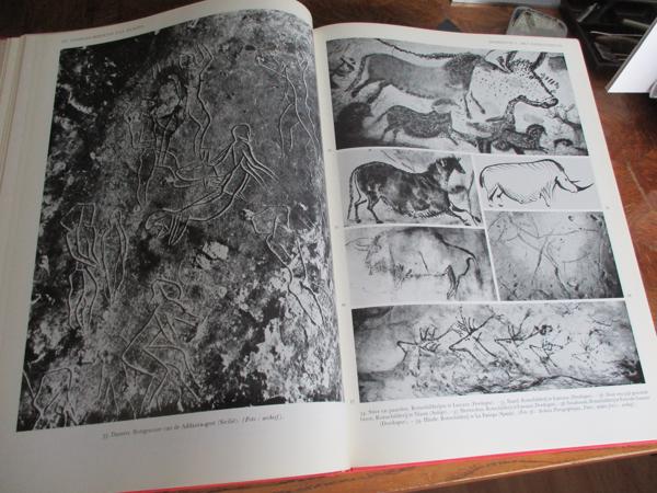 De Voorgeschiedenis van Europa