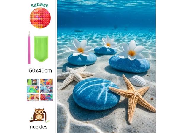 nr 12 Diamond Painting zee schelpen 50x40cm (vierkant)