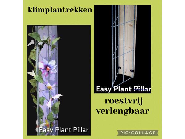 Klimplanten Draadrekken voor de verticale tuin