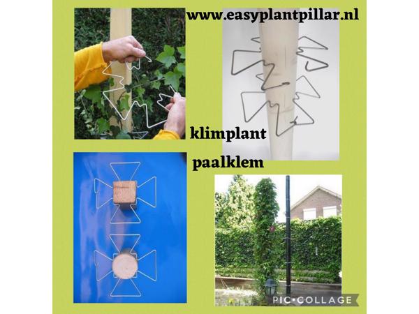 Klimplanten Draadrekken voor de verticale tuin