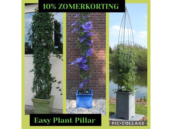 Klimplanten Draadrekken voor de verticale tuin