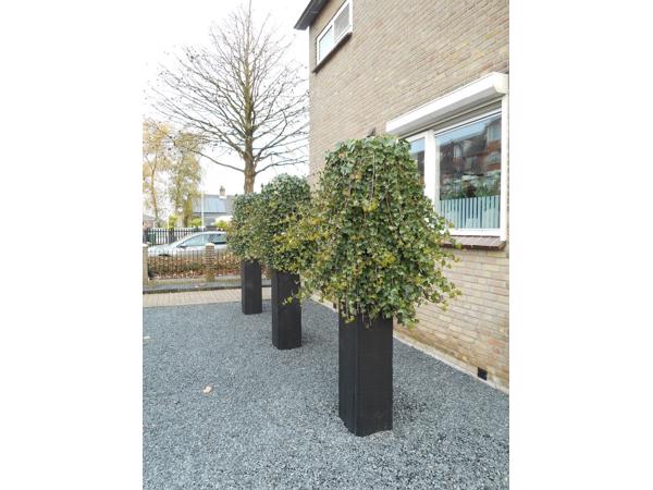 Klimplanten Draadrekken voor de verticale tuin