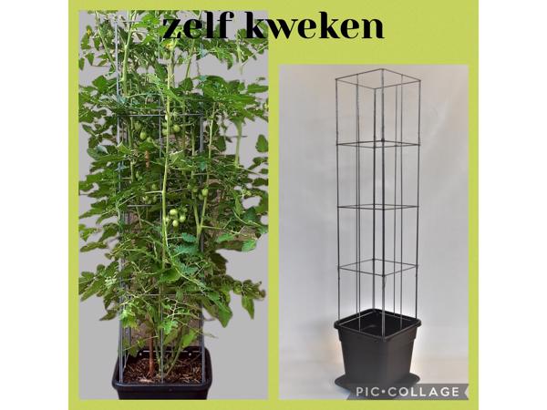 Klimplanten Draadrekken voor de verticale tuin