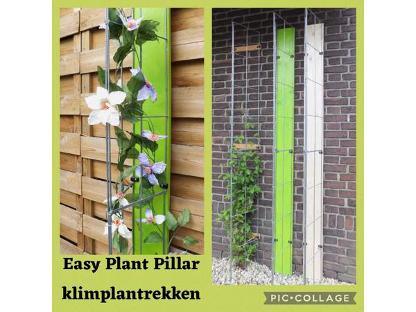 Klimplanten Draadrekken voor de verticale tuin