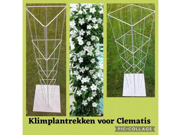 Klimplanten Draadrekken voor de verticale tuin