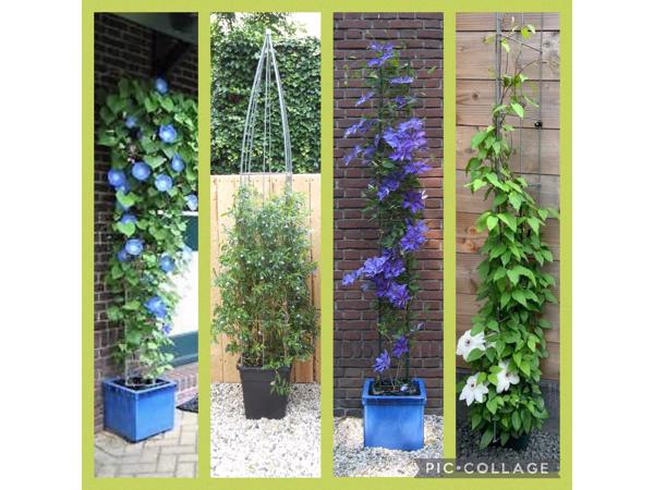 Klimplanten Draadrekken voor de verticale tuin