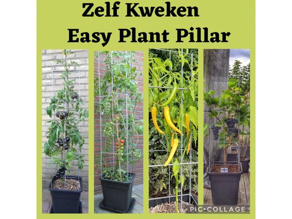 Klimplanten Draadrekken voor de verticale tuin