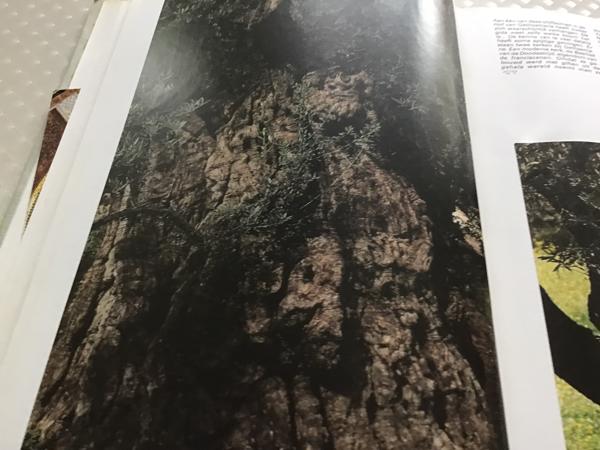 Boek.Het land van beloften speciale cultuur met testamenten