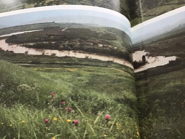 Boek.Het land van beloften speciale cultuur met testamenten