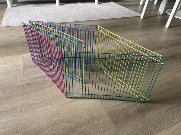Knaagdier ren hamster