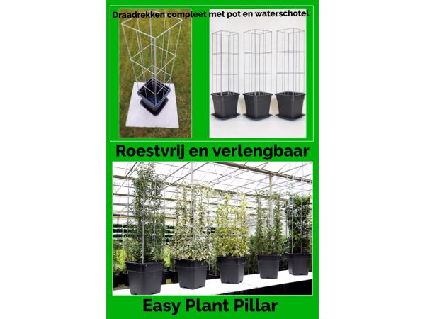 DRAADREKKEN VOOR Klimplanten kuipplanten terrasplanten