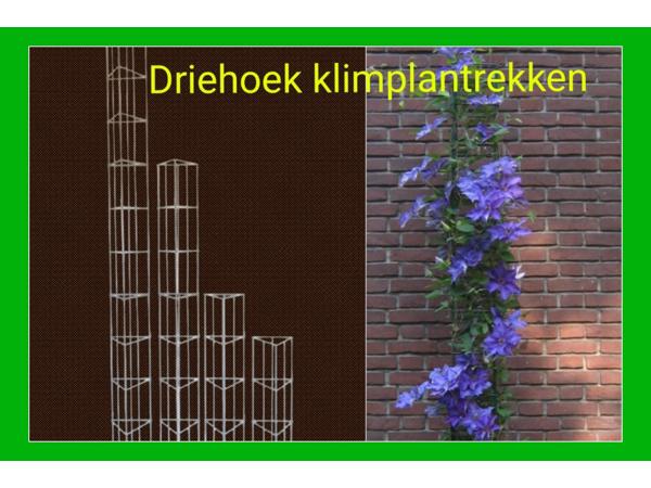 DRAADREKKEN VOOR Klimplanten kuipplanten terrasplanten