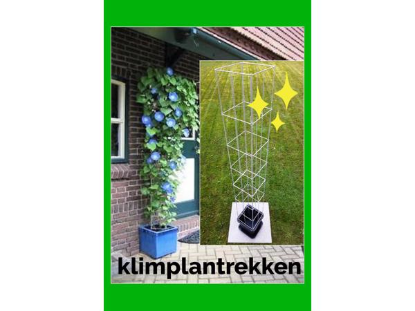 DRAADREKKEN VOOR Klimplanten kuipplanten terrasplanten