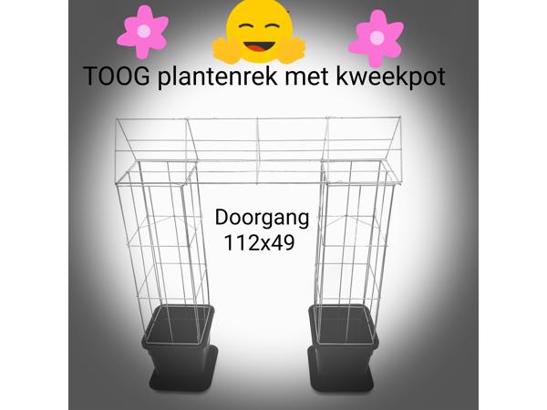 DRAADREKKEN VOOR Klimplanten kuipplanten terrasplanten