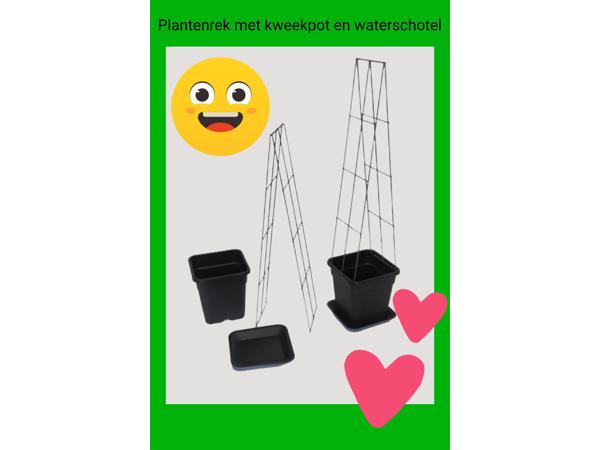 DRAADREKKEN VOOR Klimplanten kuipplanten terrasplanten