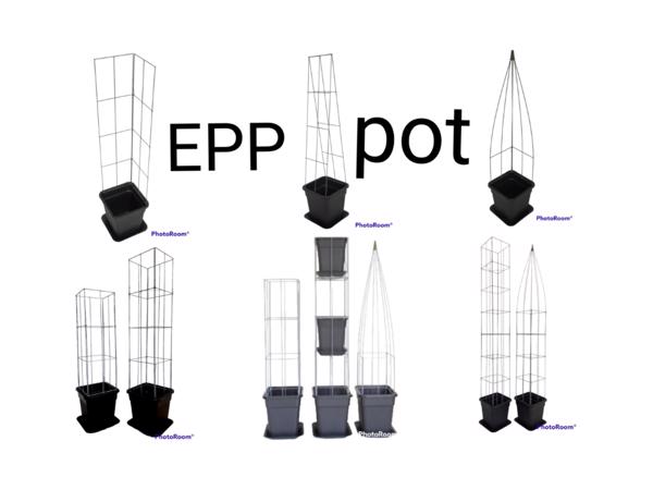 DRAADREKKEN VOOR Klimplanten kuipplanten terrasplanten