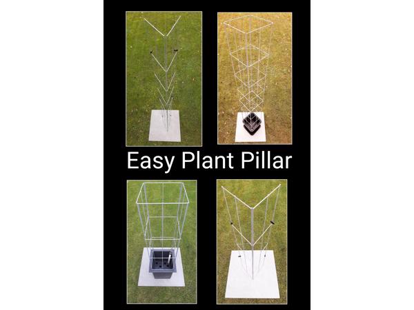 DRAADREKKEN VOOR Klimplanten kuipplanten terrasplanten