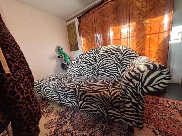 Zwart witte zebrabank