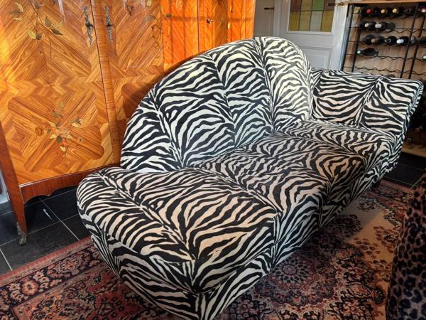 Zwart witte zebrabank