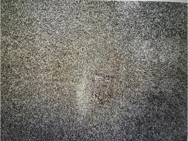 Vloekleed donkerbruin 240 x 300 cm