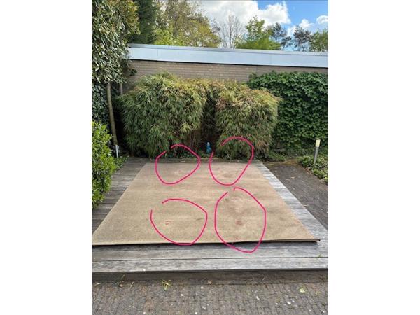 Vloekleed donkerbruin 240 x 300 cm