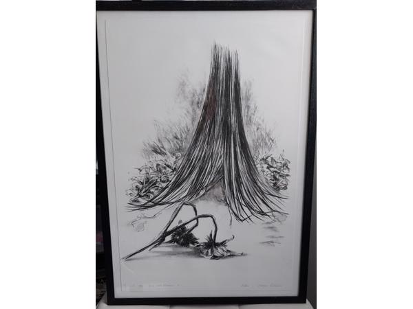 Litho`s 5 stuks en zijn in goede staat! Onderwerp: Bloemen.