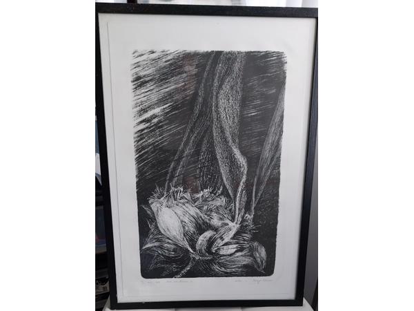 Litho`s 5 stuks en zijn in goede staat! Onderwerp: Bloemen.