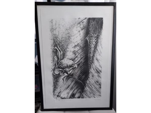 Litho`s 5 stuks en zijn in goede staat! Onderwerp: Bloemen.