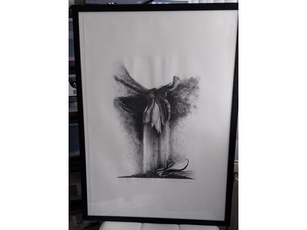 Litho`s 5 stuks en zijn in goede staat! Onderwerp: Bloemen.