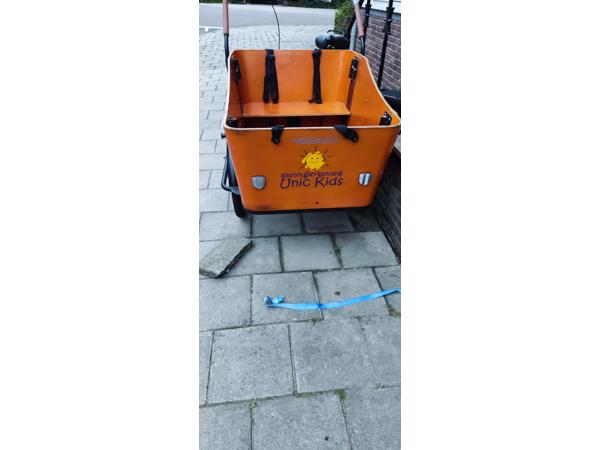 Vogue carry 3 ( driewieler)