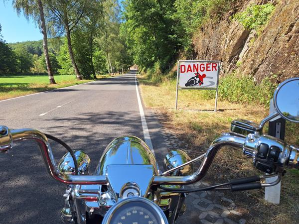 Harley Davidson Road King 2001