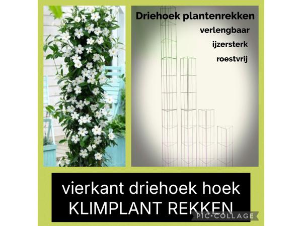 KLIMHULP voor rozen roos tuinrozen klimrozen clematis hedera