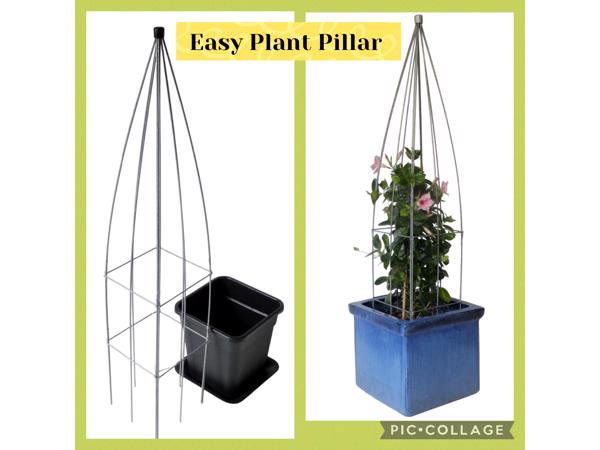 KLIMHULP voor rozen roos tuinrozen klimrozen clematis hedera