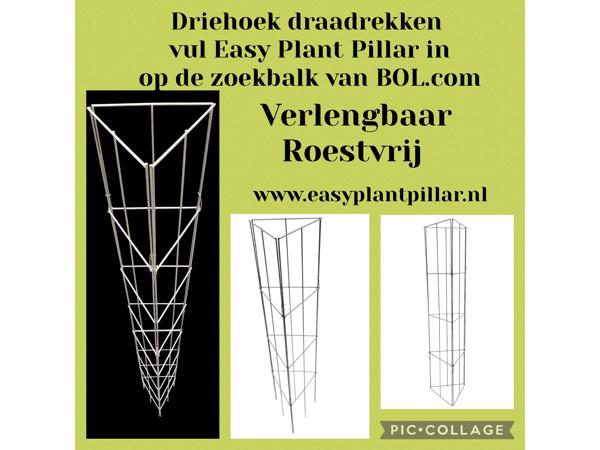 KLIMHULP voor rozen roos tuinrozen klimrozen clematis hedera