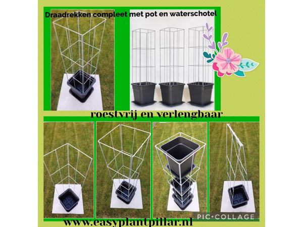 KLIMHULP voor rozen roos tuinrozen klimrozen clematis hedera