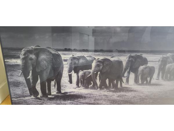 Yellowkorner Baheux Laurent